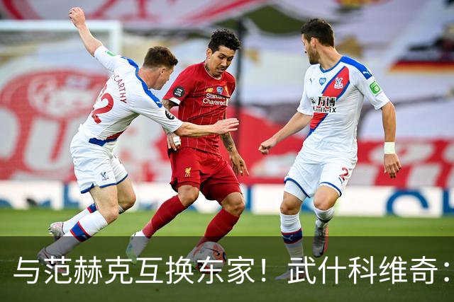 与范赫克互换东家！武什科维奇：我也不知道为什么热刺不想要我了