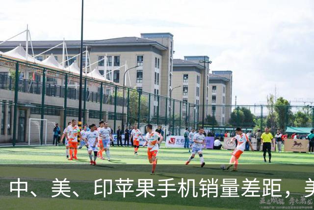 中、美、印苹果手机销量差距，美国5300万部，印度1400万，中国呢