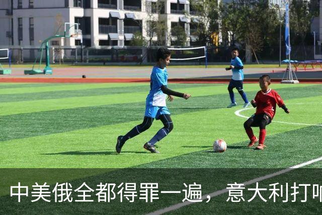 中美俄全都得罪一遍，意大利打响第一枪，没收冯德莱恩大权