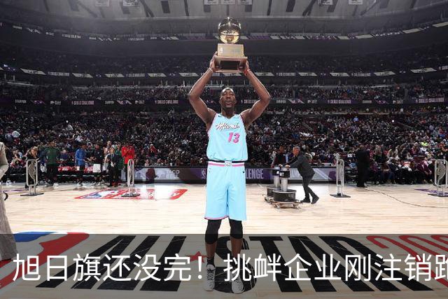 旭日旗还没完！挑衅企业刚注销跑路，又揪出5个跟风“一起披”的