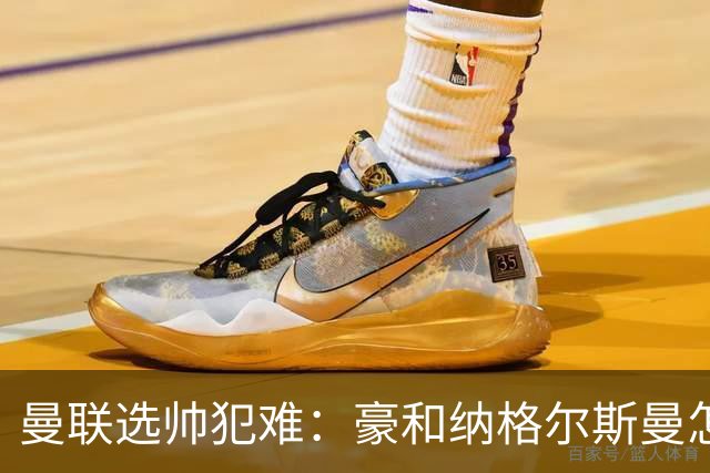 曼联选帅犯难：豪和纳格尔斯曼怎么选？答案藏在现有阵容里