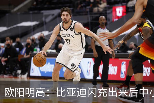 欧阳明高：比亚迪闪充出来后中小厂家、电池厂很焦虑 因为闪充投资太大