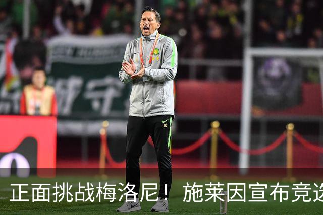 正面挑战梅洛尼！施莱因宣布竞选意大利总理