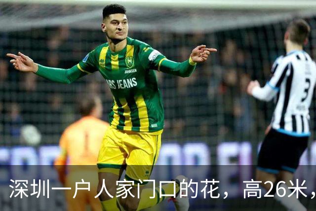 深圳一户人家门口的花，高26米，直接爬上9层楼，太壮观了