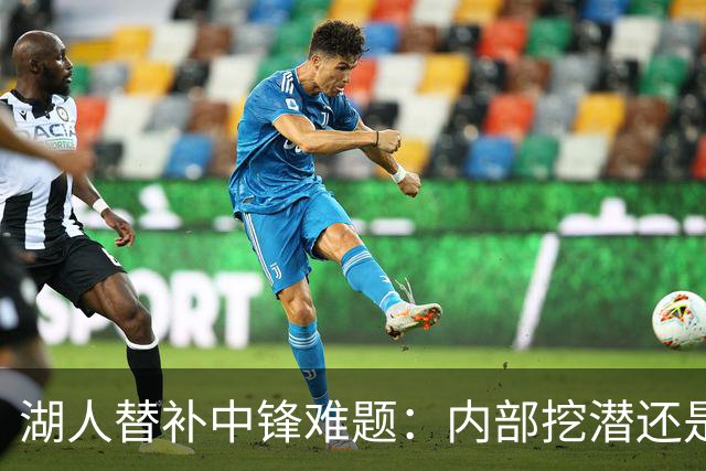 湖人替补中锋难题：内部挖潜还是外部补强？