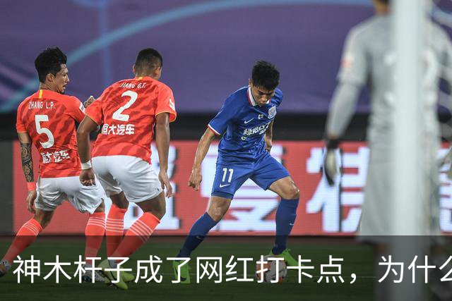 神木杆子成了网红打卡点，为什么要围起来？