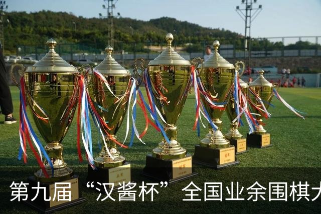 第九届“汉酱杯”全国业余围棋大赛总决赛闭幕