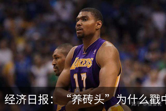 经济日报：“养砖头”为什么戳中年轻人？