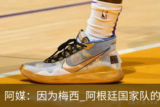 阿媒：因为梅西 阿根廷国家队的训练课都能卖票