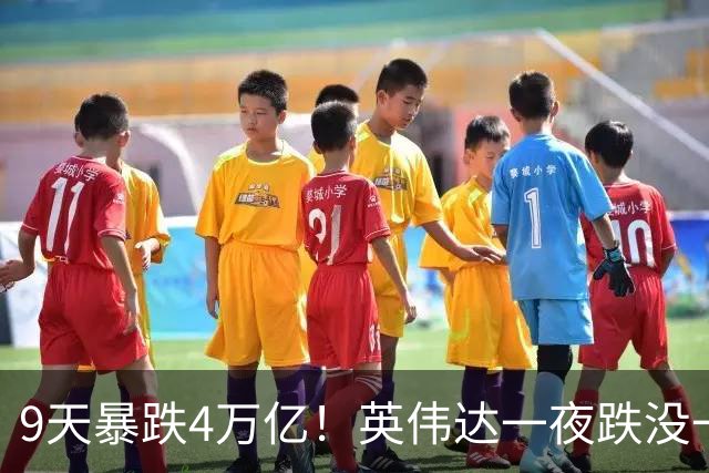 9天暴跌4万亿！英伟达一夜跌没一个腾讯，AI泡沫真的要来了？